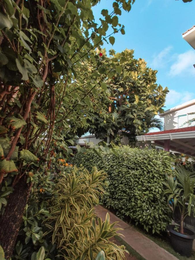 Summer House Guest house San Andres (San Andres and Providencia Islands)